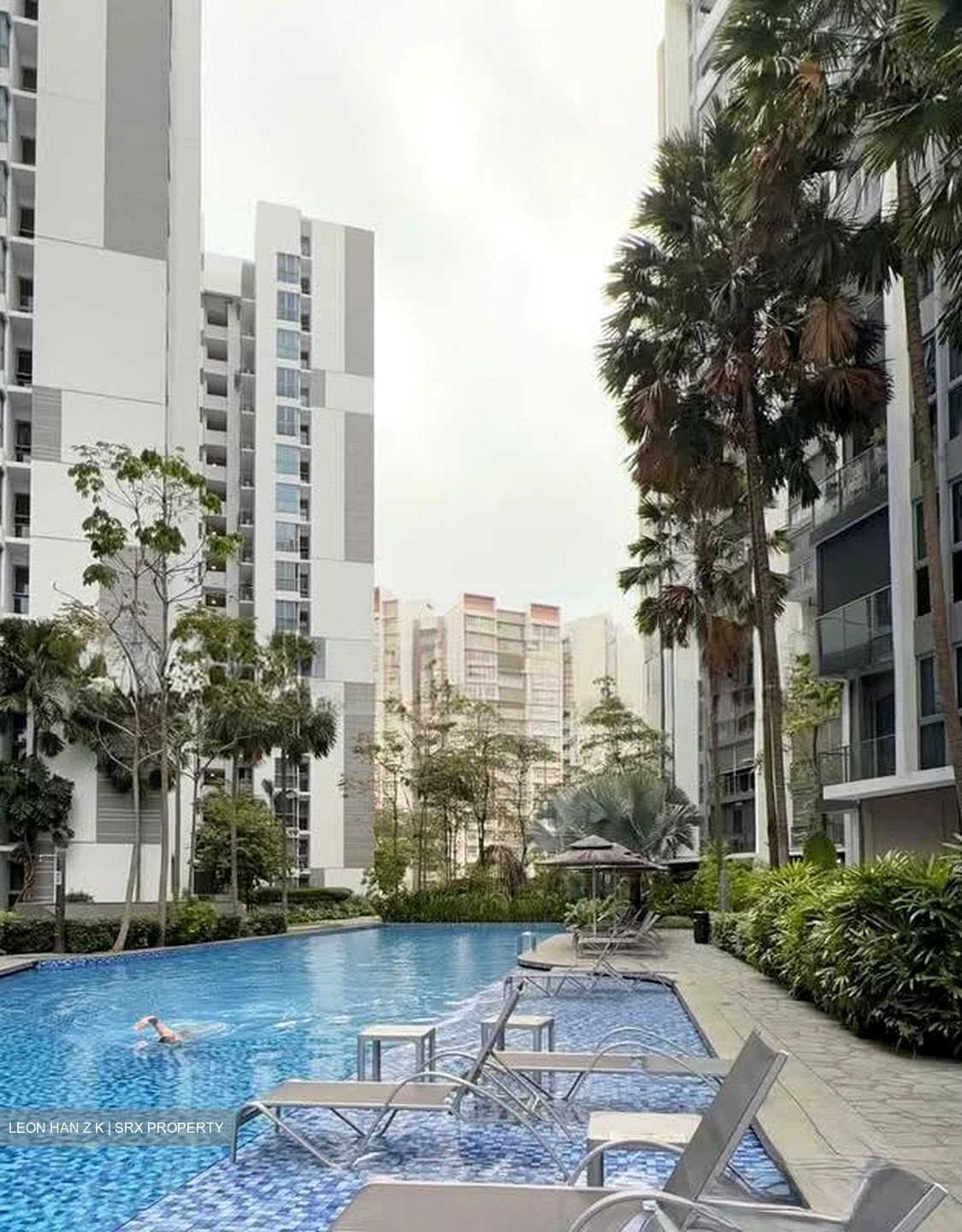 Bartley Ridge (D13), Condominium #632499141
